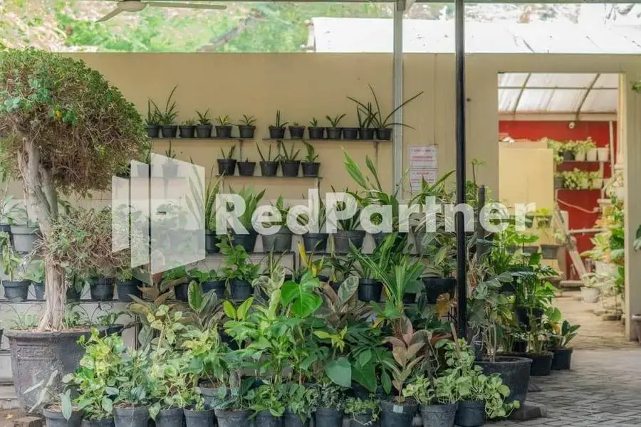 Vandhela Homestay Syariah Mitra RedDoorz