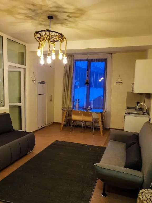 Apartment 315, Bakuriani