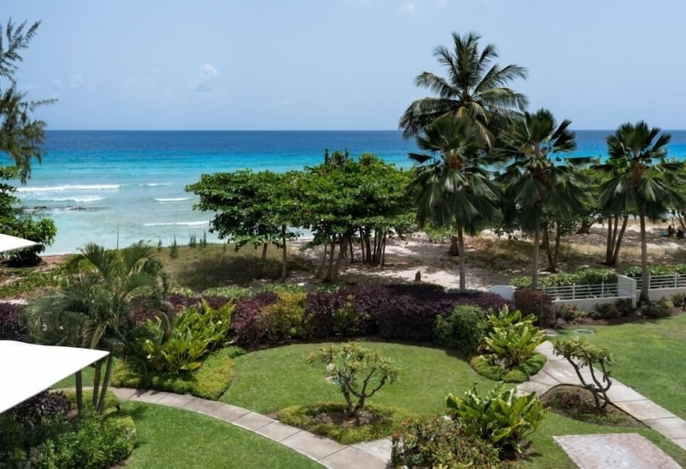 Palm Beach 302