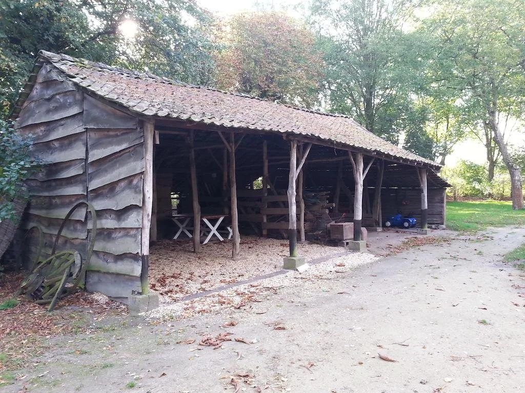 Villa Vigor