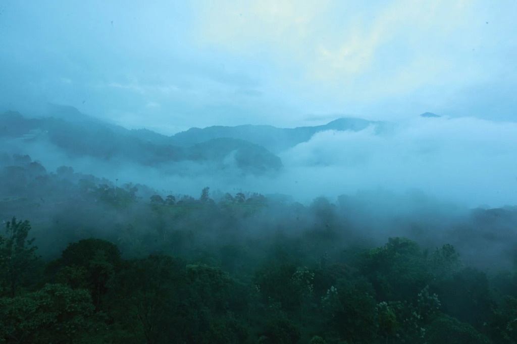 Bellavista Resort Munnar