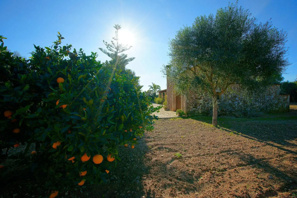 Bou Ros Finca Can Nadal