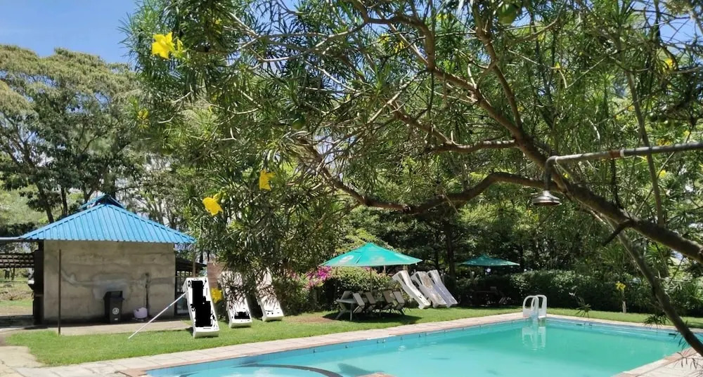 Fish Eagle Inn