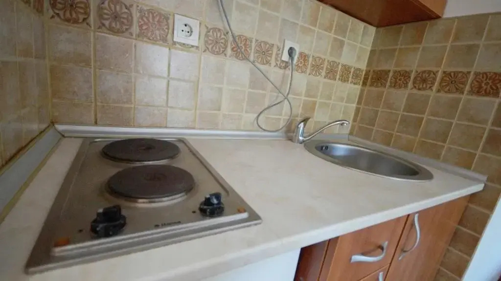 Apartment Ruzica
