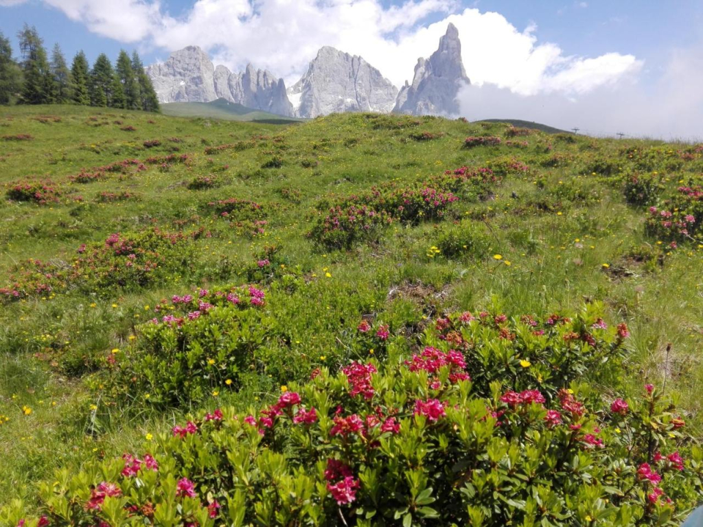 Affittacamere Villa Sole