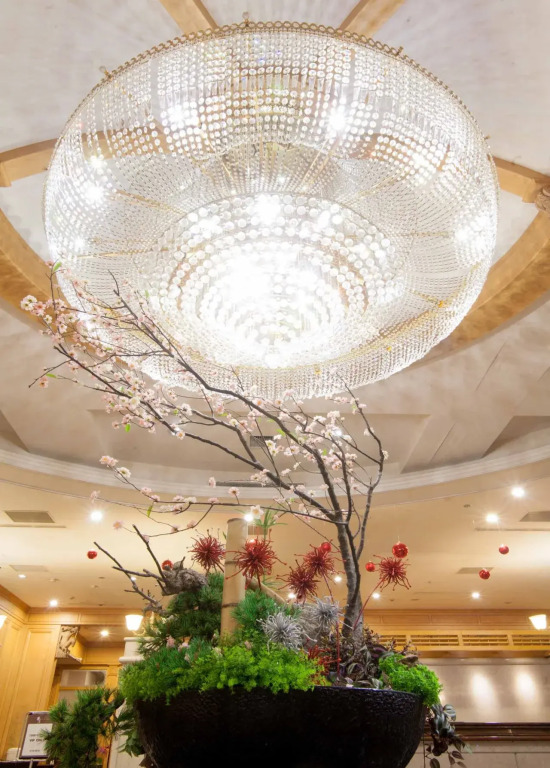 Highness Hotel