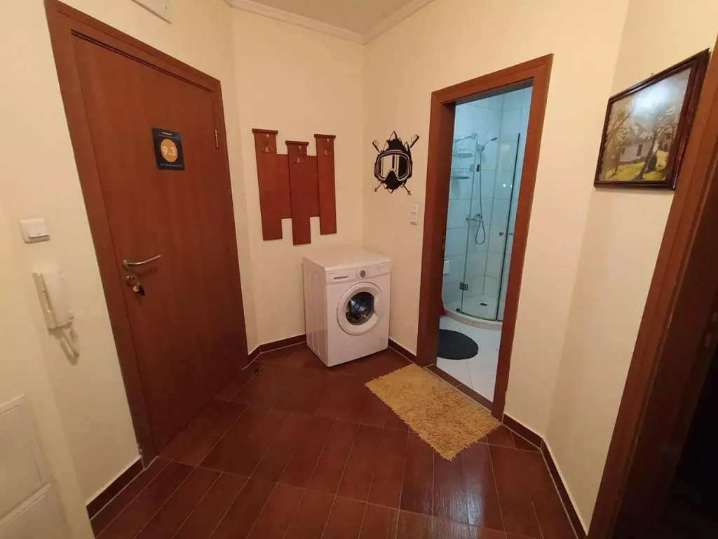 Pine Tree Studio B11