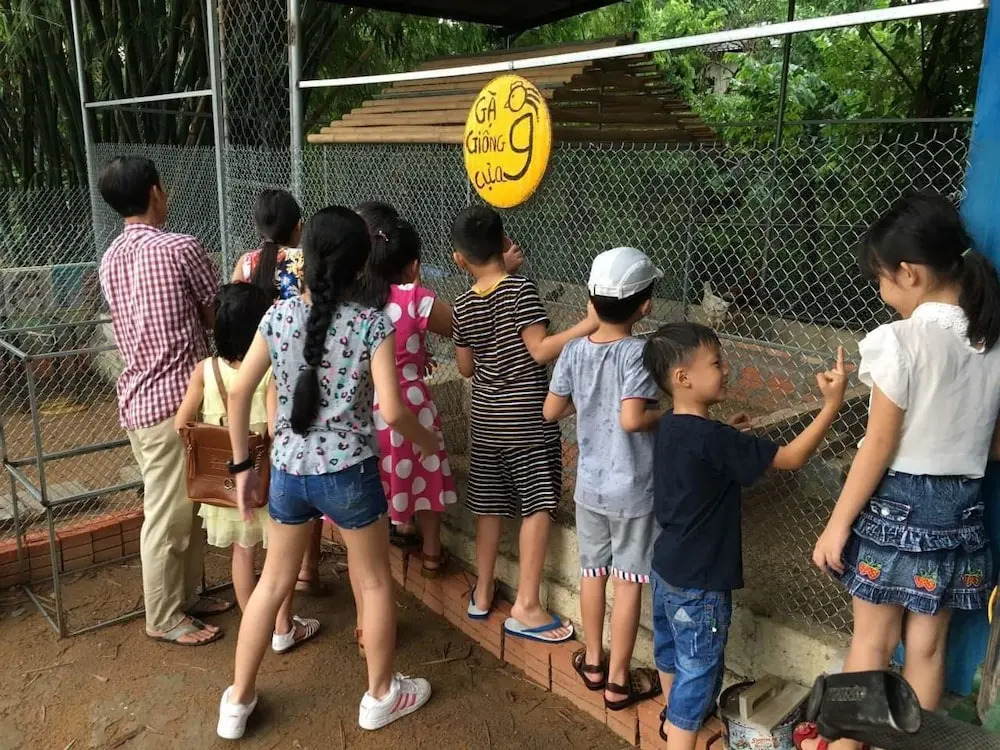 Hue Lotus Homestay