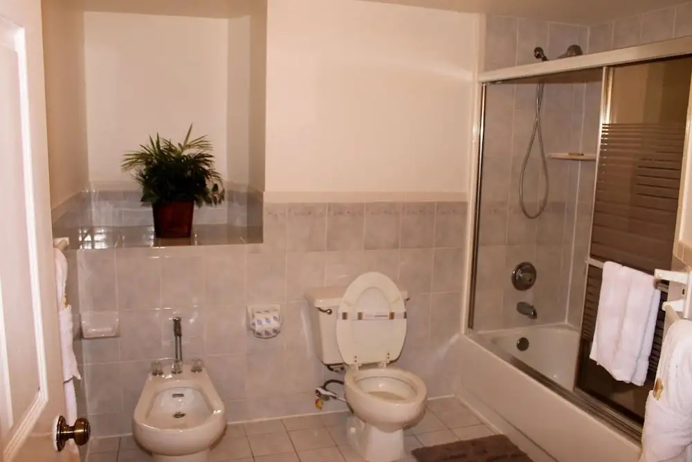 Beach Palms 405