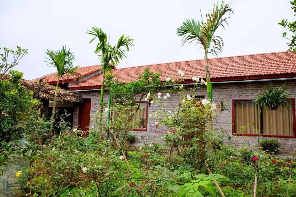 Tam Coc Riverside Bungalow