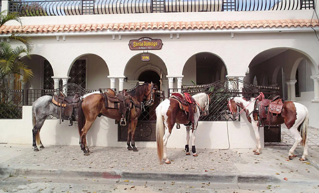Santo Domingo Bed and Breakfast