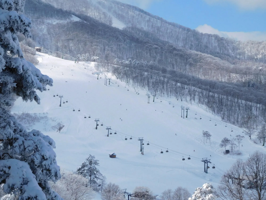 Madarao Elm Pension