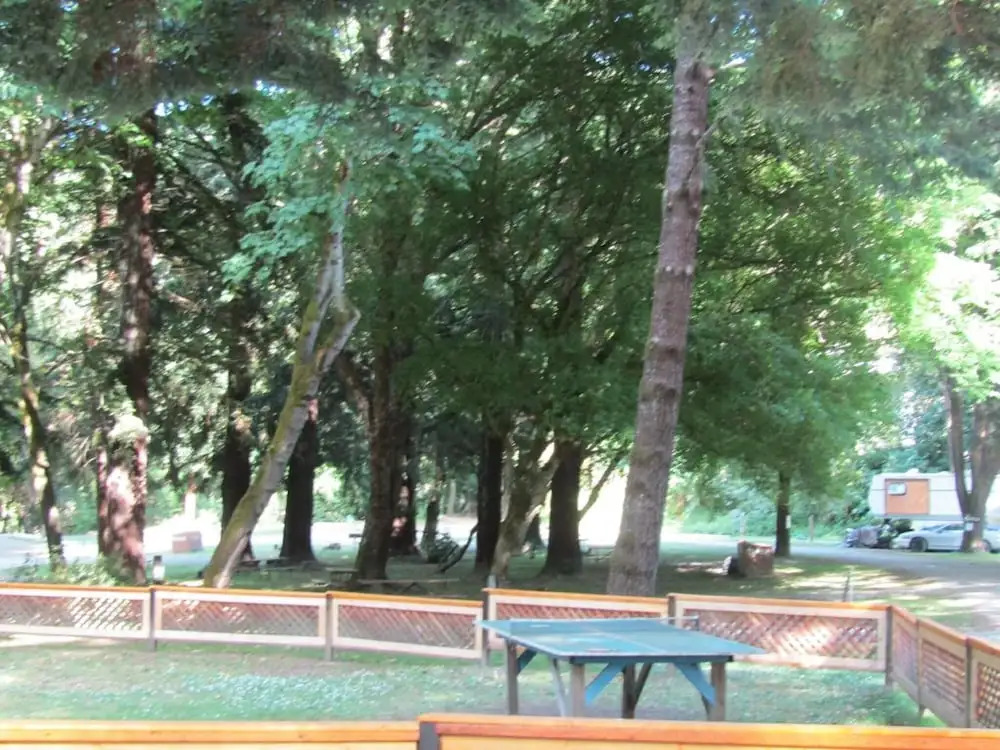 Dean Creek Resort