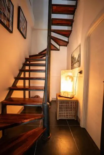 Gekos House