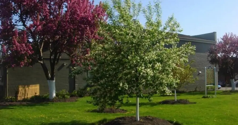 Veterans Park Hotel