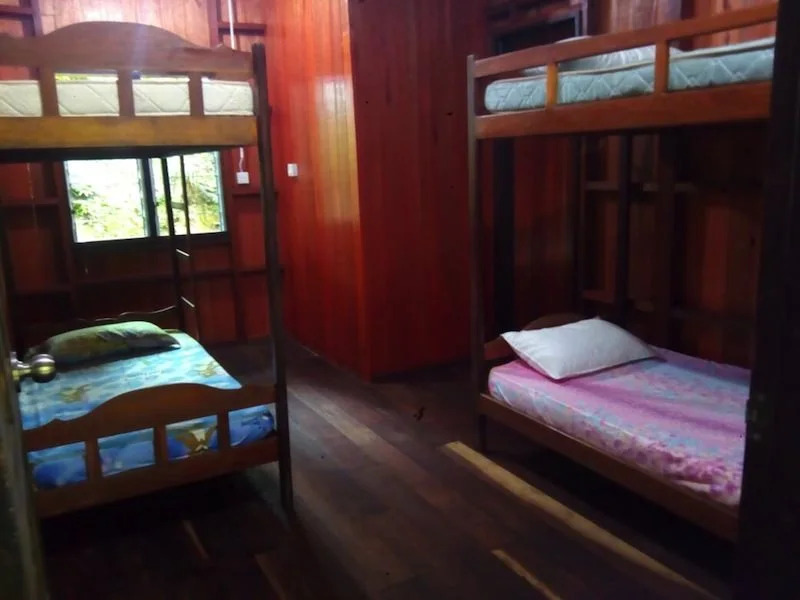 Bukit Belanda Jungle Lodge