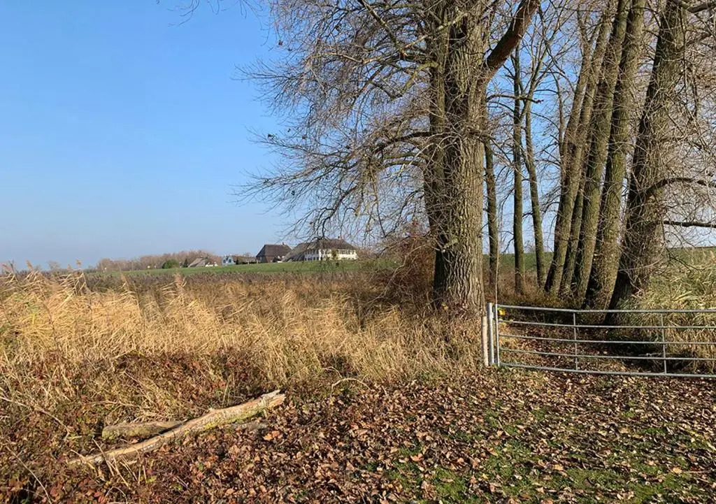 MOoij Bed en Breakfast