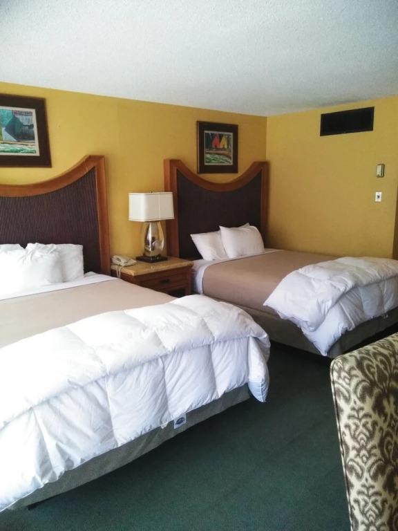 Springs Hotel and Spa