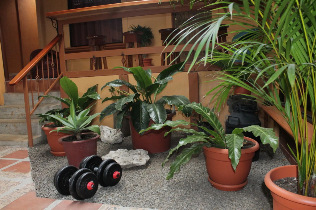 Greemount Hotel