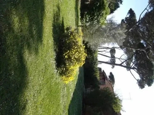 Casale delle Mimose