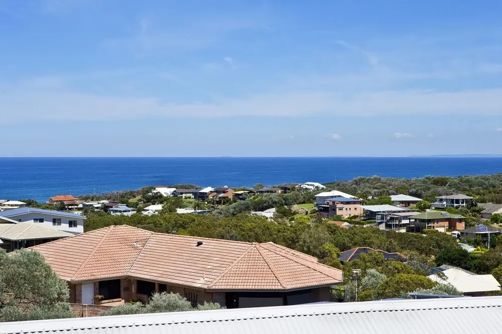 The Lookout