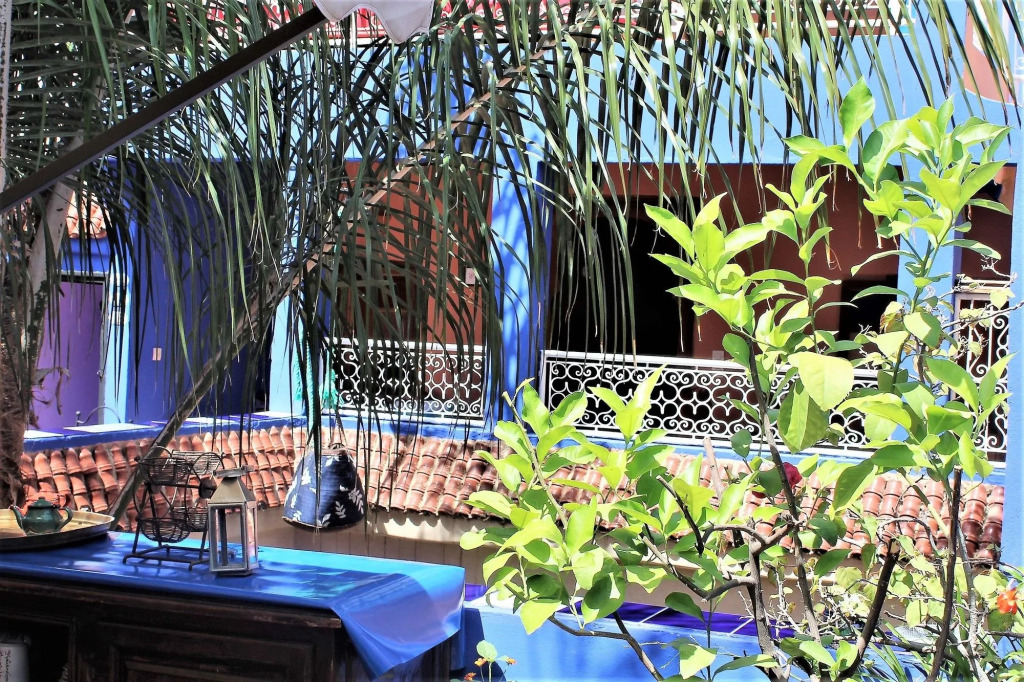 Riad Alamine