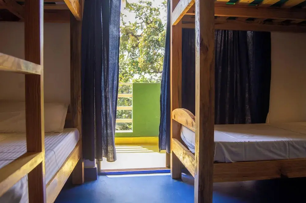 GREEN NEST HOSTEL - Anjuna , North Goa