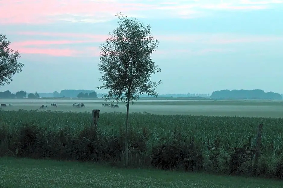 B&B Veluwemeerpension