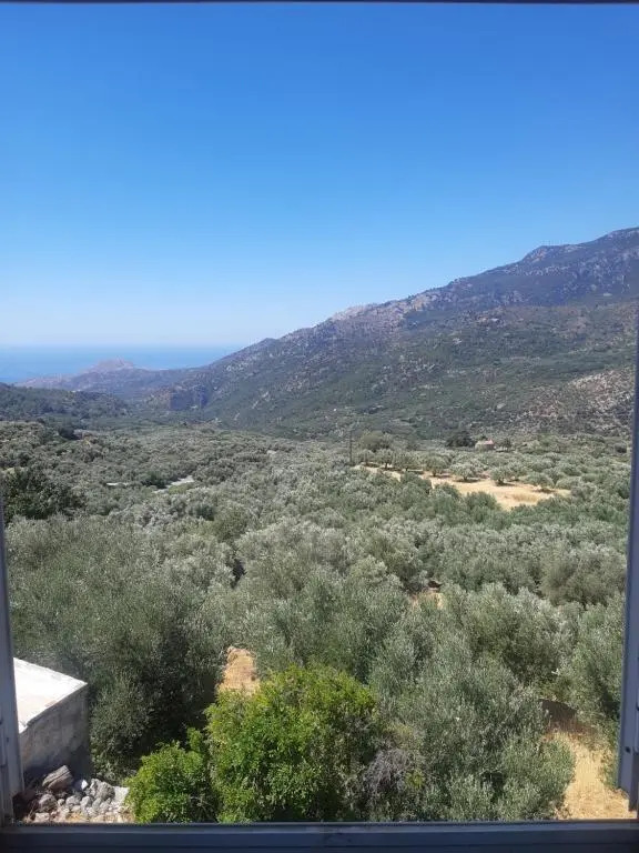 view home