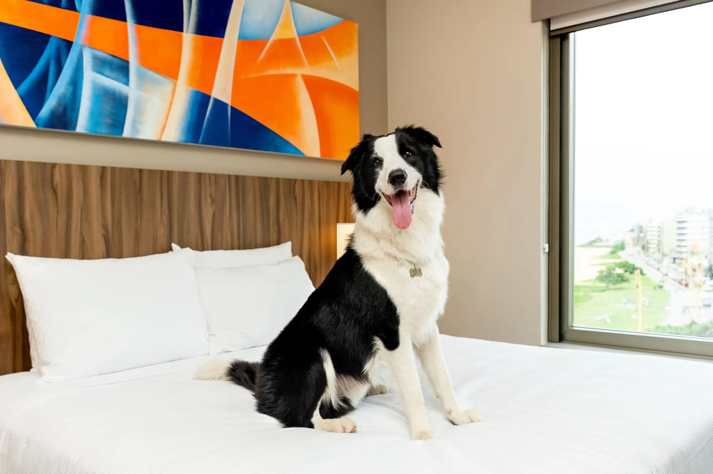 Hyatt Place Macae