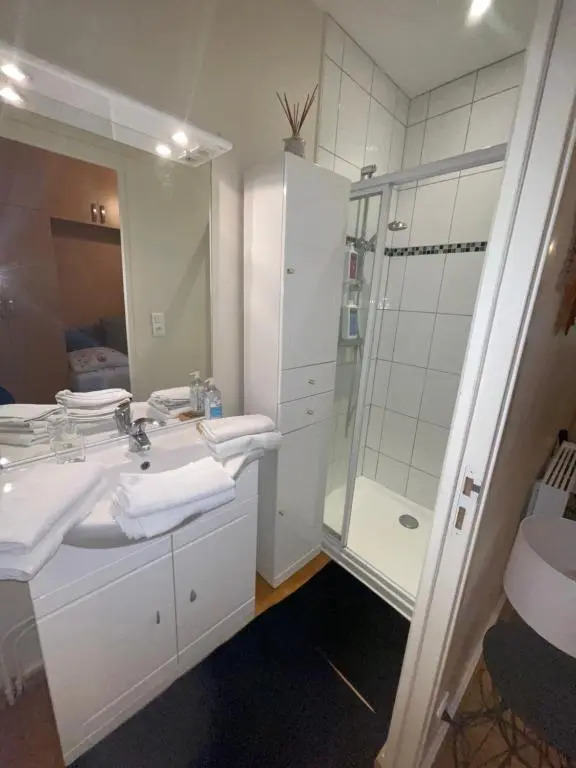 Appartement François 1er