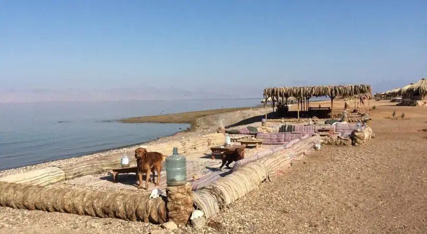 Maagana Camp