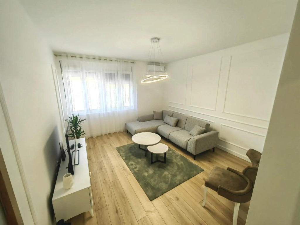 Luxury apartment Podgorica
