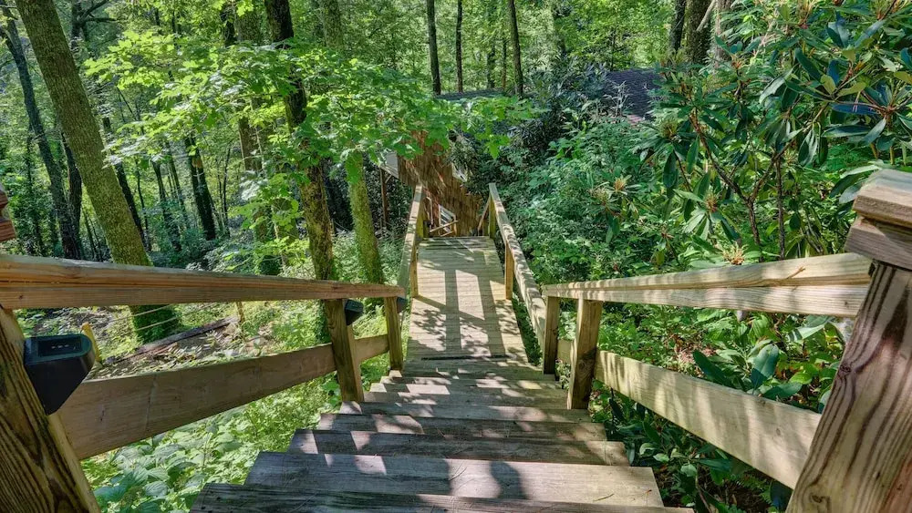 Mountain Laurel Tree House