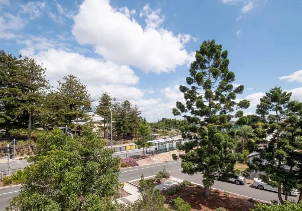 Peaceful 1 Bedroom Apartment with Parking