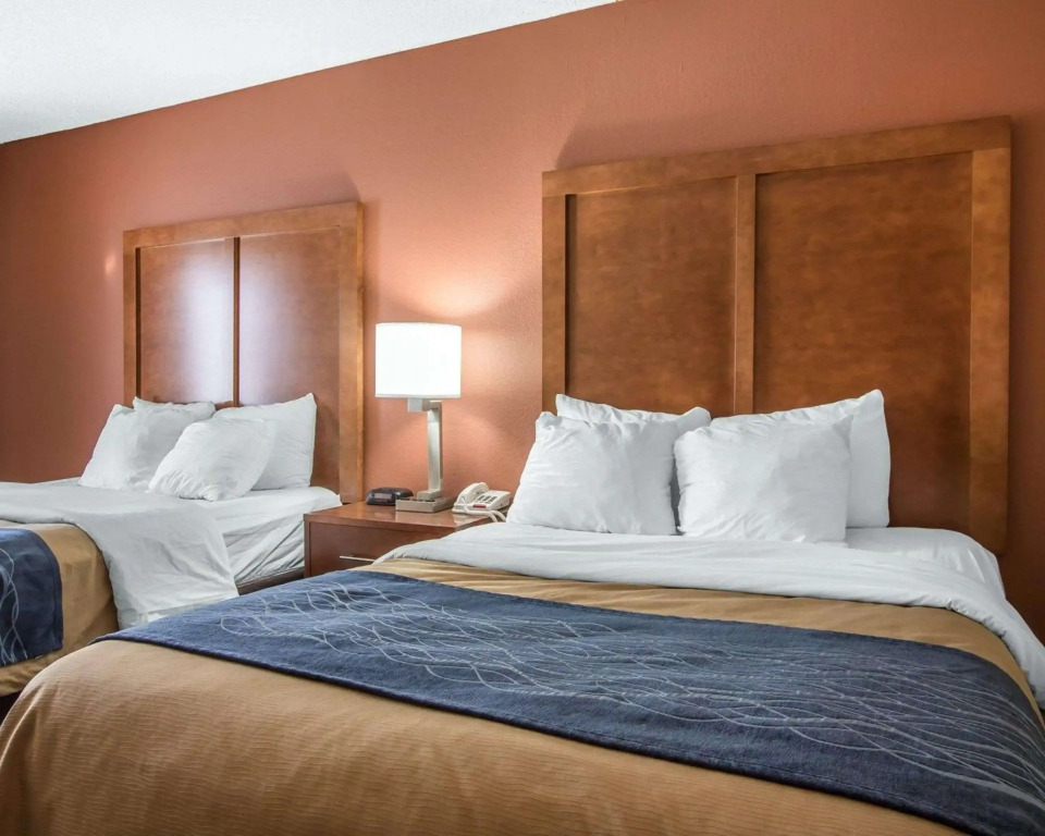 Comfort Inn Livingston