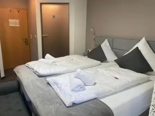 Hotel Il David