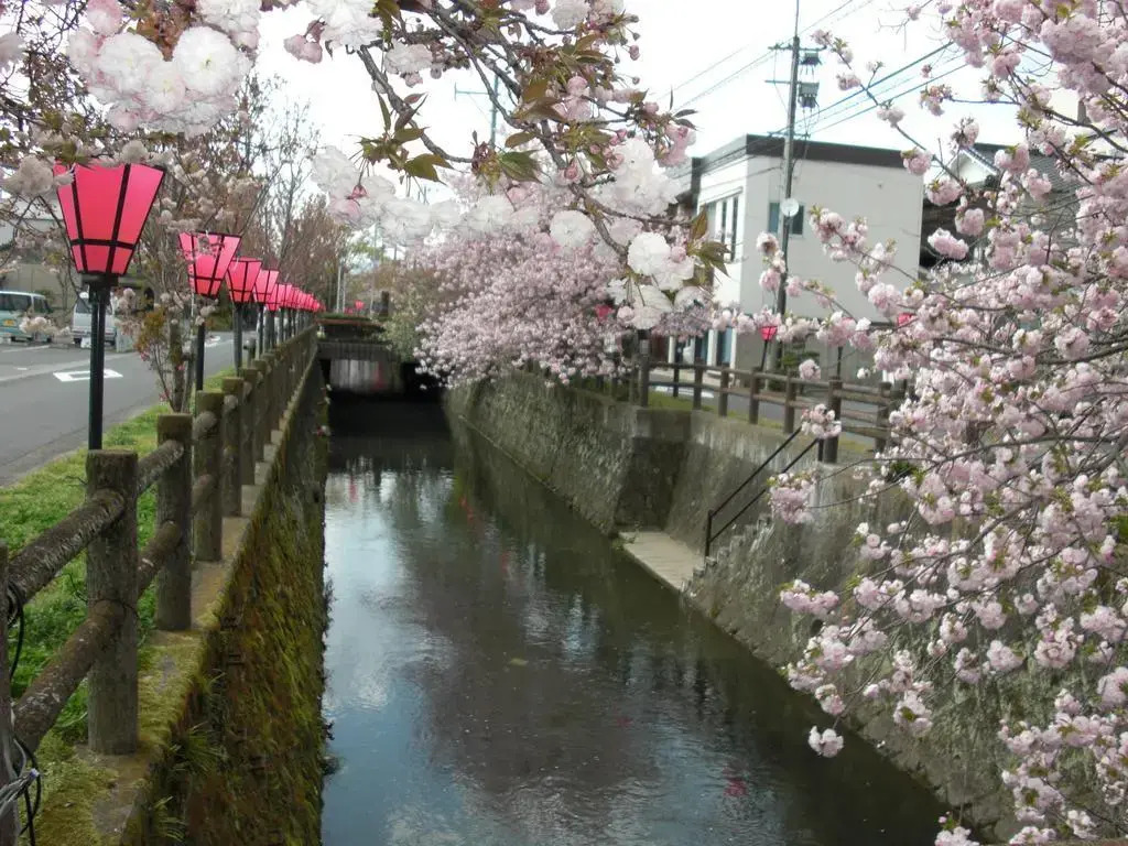 Plaza Hotel Fujinoi