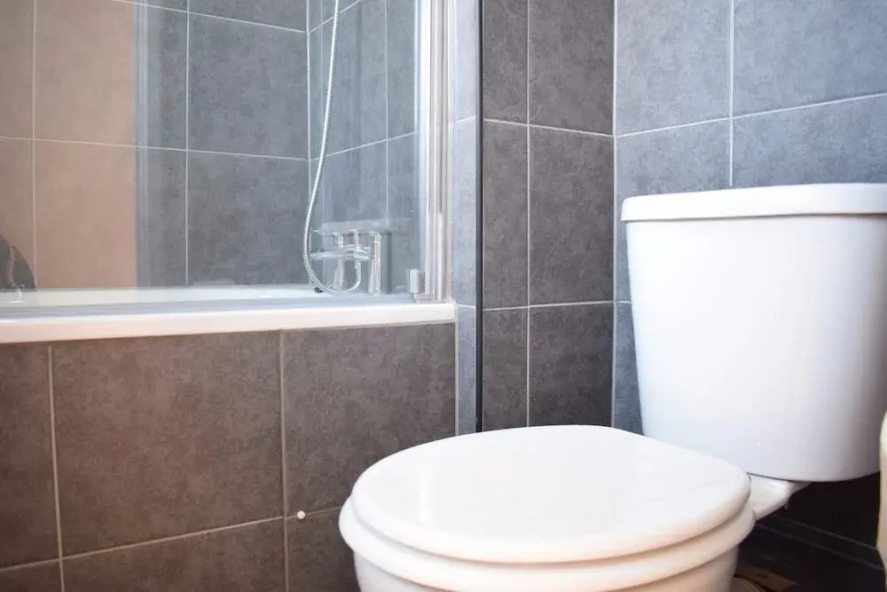 1 Bedroom Apartment Opposite Shoreditch Park