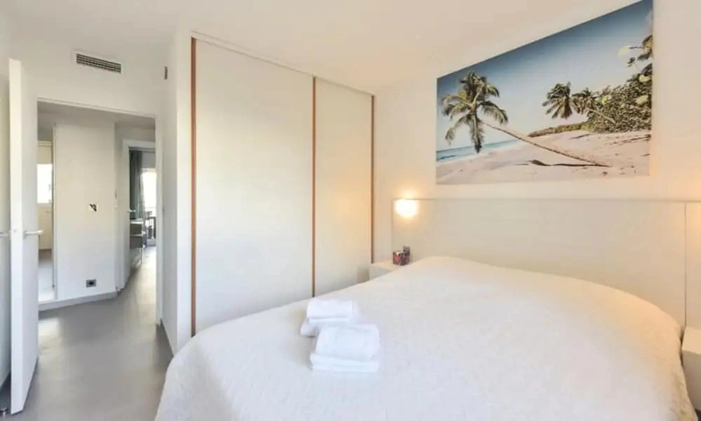 Apartment in Palm Beach Near Croisette