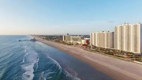Ocean Walk Resort 1BR 2429