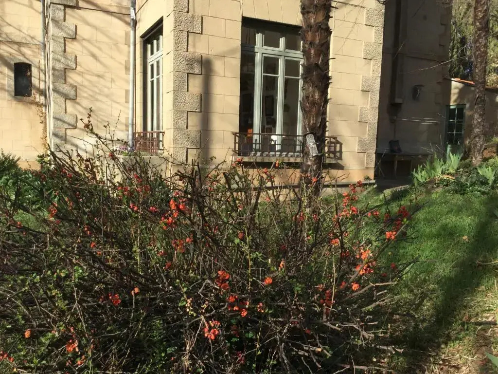 Villa Delphina