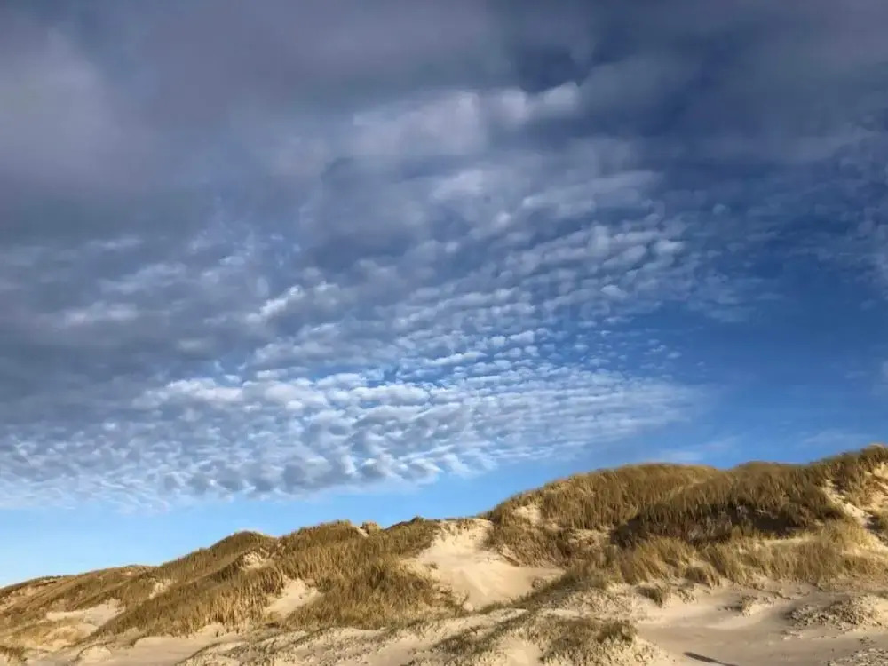 2 Person Holiday Home in Vejers Strand