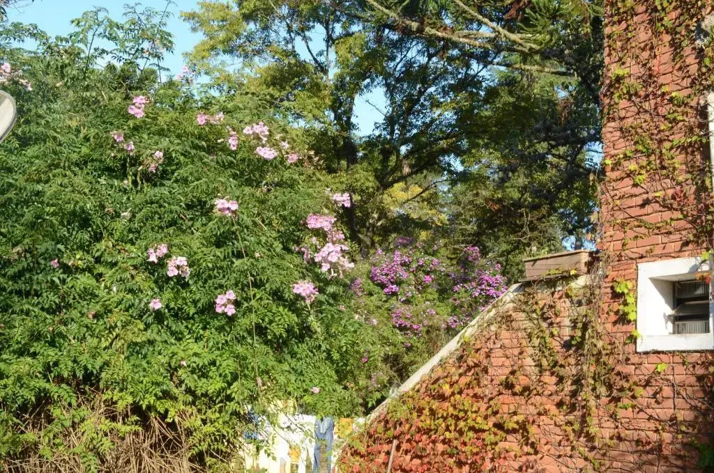 Sitio-Estalagem Purioca