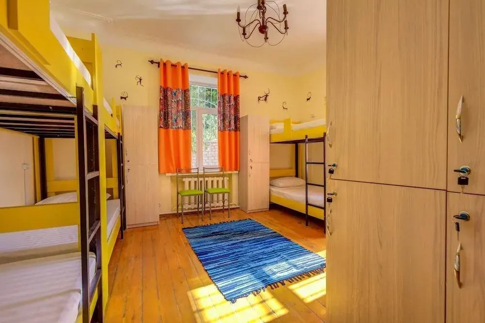 Hostel Frunze