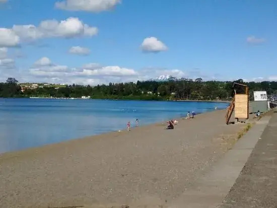 Cabañas Lagosur