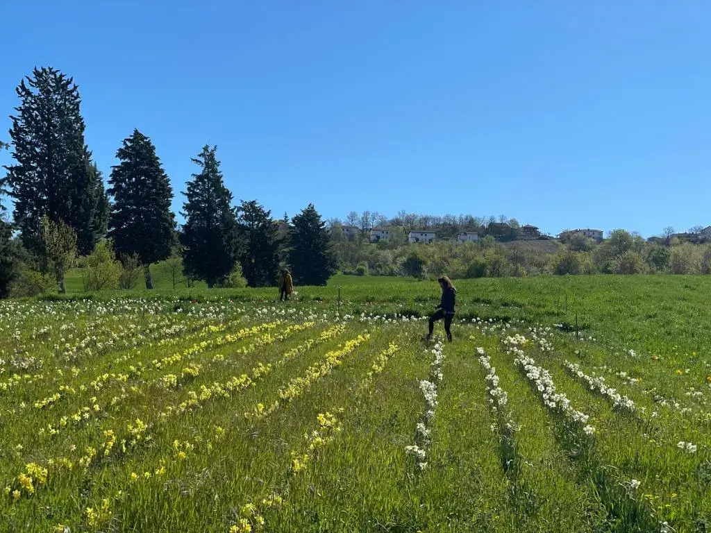Il Casale Denari - Tenuta duca Denari