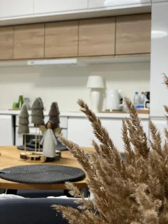 Forest Studio