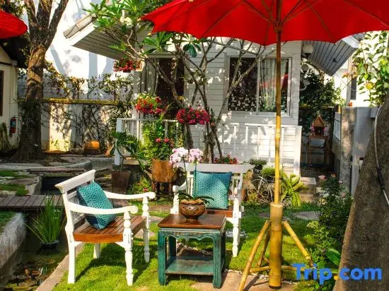 Dream Garden Villa Hotel Night Bazaar ChiangMai