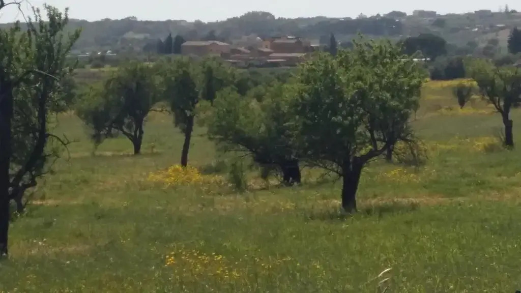 Vento di Tramontana